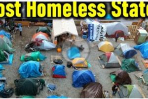 Top 10 States with Highest Homeless Population (Mindset Media News!)