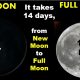 NEW MOON & FULL MOON SEASON – Each HEBREW month begins with A new Moon (Mindset Media News!)
