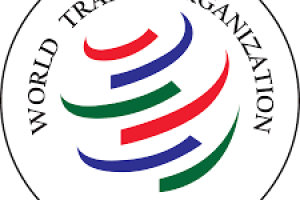 WTO (world Trade Organization)… – (Mindset Media News!)