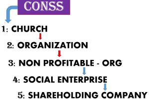 The CONSS program – Human resources, NON profitable Organization – Shareholding company -… – (Course Class)