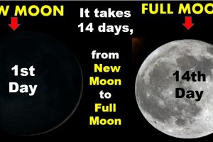 NEW MOON & FULL MOON SEASON – Each HEBREW month begins with A new Moon (Mindset Media News!)