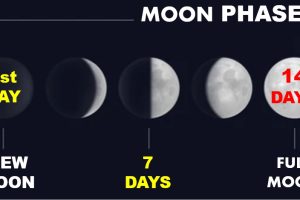 MOON PHASES = Each Month has 8 Phases… – (Mindset Media News!)